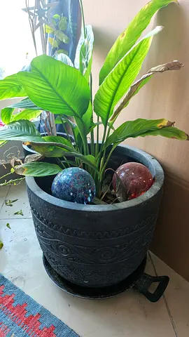 Large decorative indoor planter pot with saucer