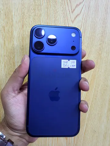 17 pro max