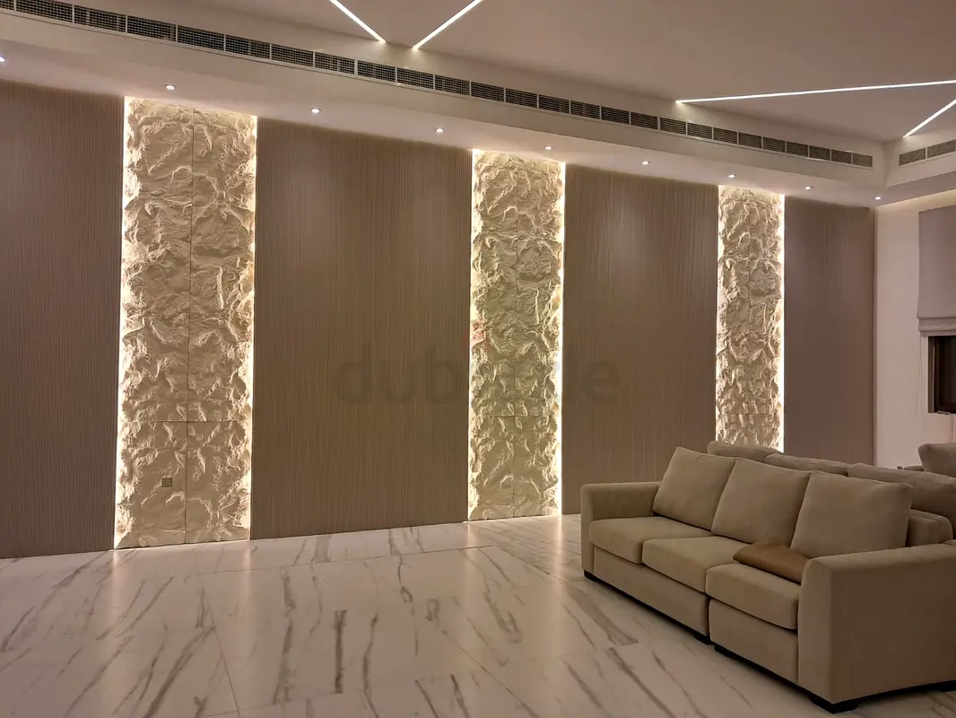 DPV_View_Image_4