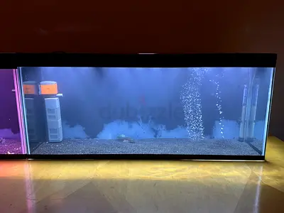 COMPLETE AQUARIUM SETUP FOR SALE!!!
