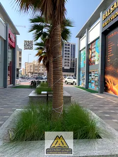 Commercial Shops for Rent in Al Hamidiya – Prime Location &amp; Competitive Prices