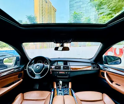 2013 BMW X6 缩略图 19