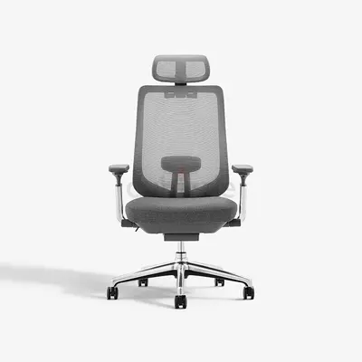 Colamy Atlas Ergonomic High Back Mesh Office Chair