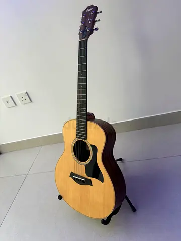Taylor GS Mini