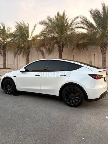Tesla First Owner Model Y Performance 2023 GCC Specs.