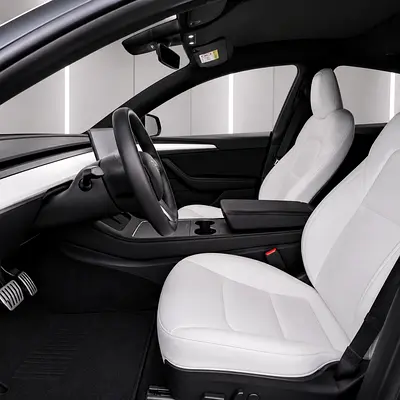 2021 Tesla MODEL 3 照片 9