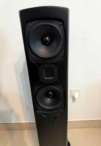 GoldenEar Triton 7 high end tower speaker.