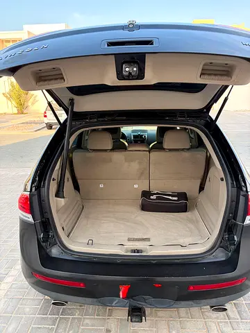 2015 Lincoln MKX 照片 6