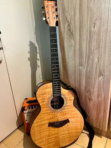 Acoustic Guitar