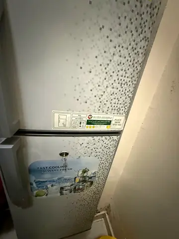 Fridge