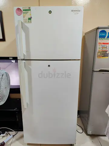 Compact single-door refrigerator with UAE energy label
