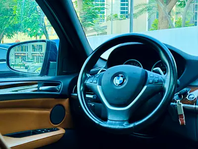 2013 BMW X6 缩略图 15