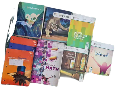 American International School curriculum grade 8th books
