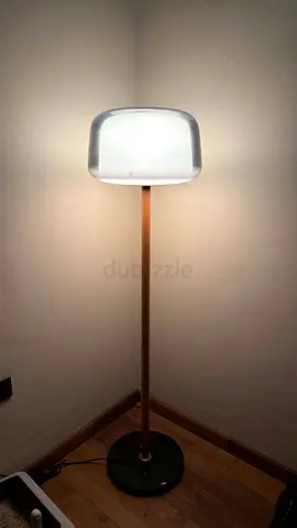 Modern floor lamp with frosted glass shade and wooden stem