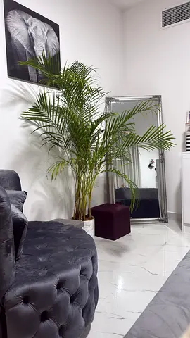 Big mirror for living room