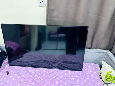 42-inch flat panel TV in good condition