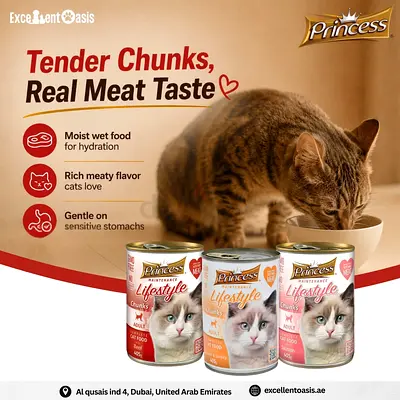 Princess Moist Wet Cat Food - Tender Chunks, Real Meat Taste (Pack)
