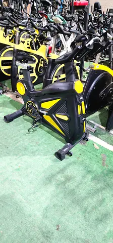 Professional Indoor Cycling Spin Bike
