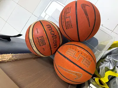 Collection of Molten and Nike Basketballs