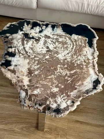 Marina Home Petrified Wood Coffee Table | Solid Wood | Designer Piece