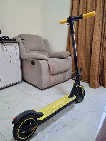 Crony M365 Electric Scooter