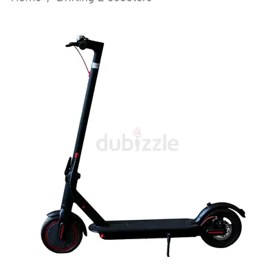 Lightweight Electric Scooter