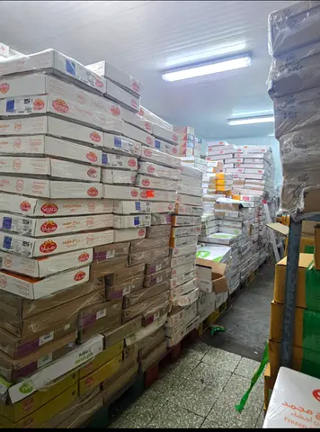 Investment Opportunity – Frozen Food Distribution (Dubai)