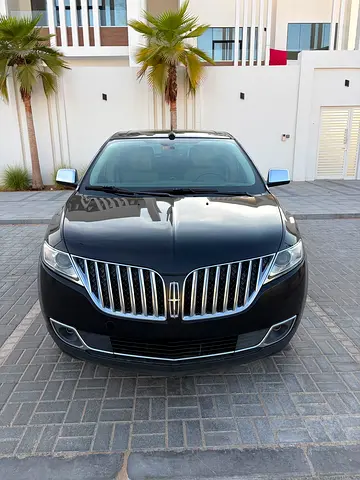 2015 Lincoln MKX 照片 1