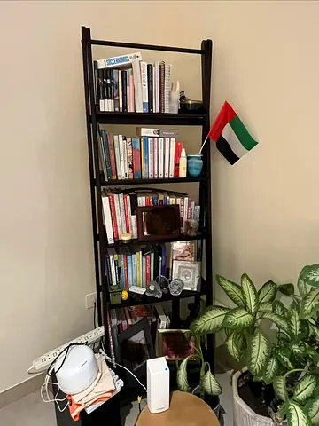 Ladder Bookshelves