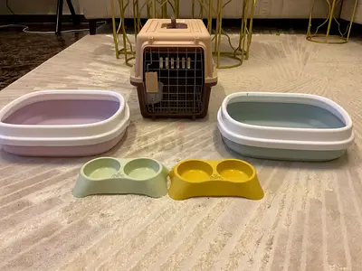 Complete 5-Piece Cat Bundle (2x Litter Boxes, Carrier Box, 2x Bowls) - Negotiable