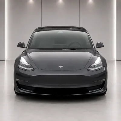2021 Tesla MODEL 3 照片 3