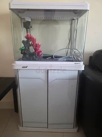 Aquarium with all accessories