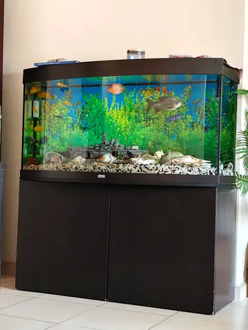 Aquarium Jewel