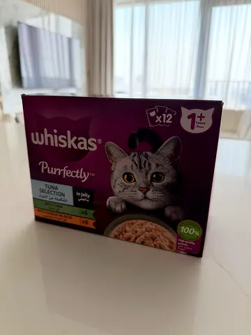 Cat wet food