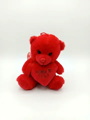 Red plush teddy bear holding heart - I CHOOSE YOU (small)