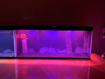 COMPLETE AQUARIUM SETUP FOR SALE!!!