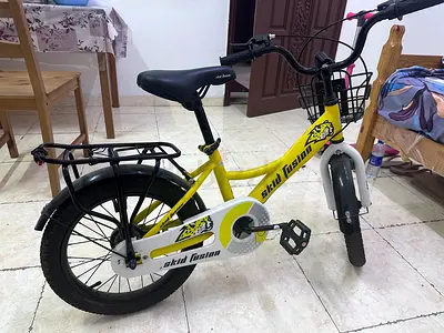 Bicycle Skid Fusion