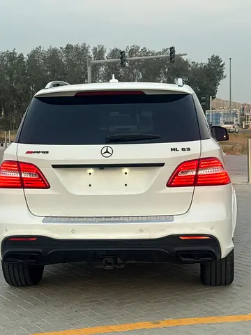 2014 Mercedes-BENZ M-CLASS 照片 6