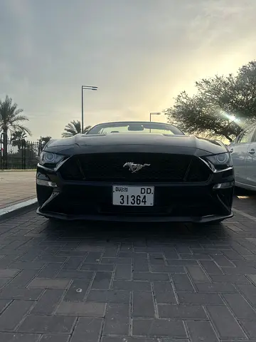 2018 FORD MUSTANG 照片 9