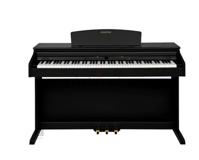 Dynatone SLP -150 Black