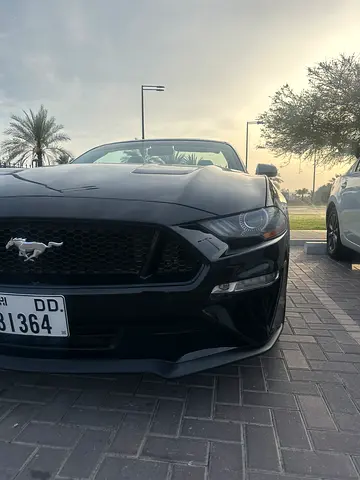 2018 FORD MUSTANG 照片 10