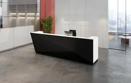 Reception Area at the Offices