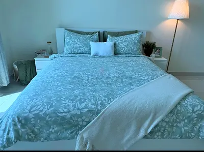 IKEA MALM Queen Size Bed + 2 Storage Drawers + Mattress