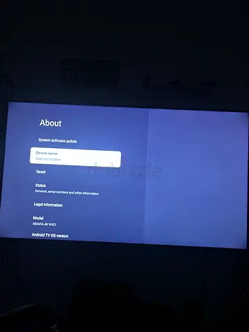 Sony bravia 55 inch tv