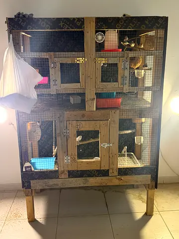 Birdcage