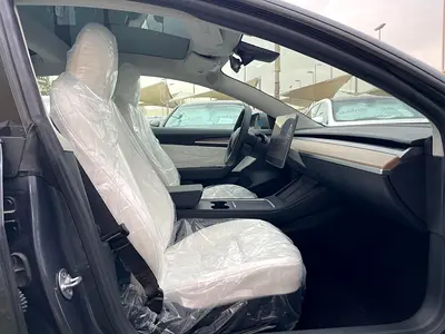 2023 Tesla MODEL 3 缩略图 11