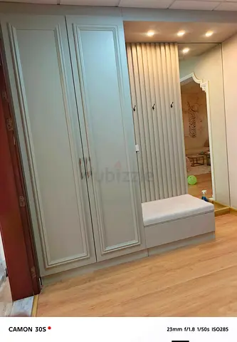 Professional paintings service