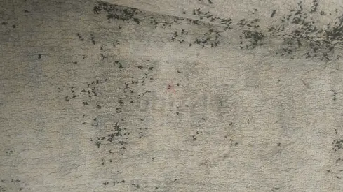 Small Carpet with modern look