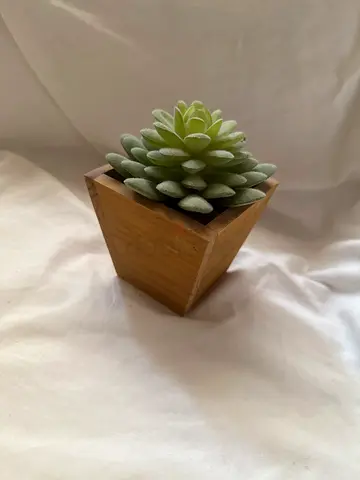 Small faux succulent in wooden cube pot - decorative accent