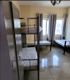 Studio room for executive bachelors
